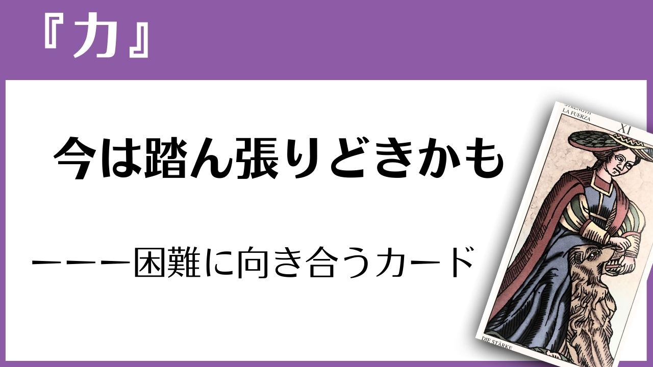 マルセイユタロット『力』の読み方ガイド